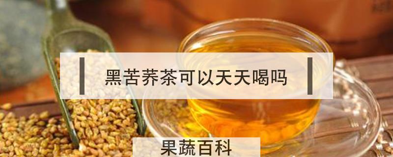 黑苦荞茶可以天天喝吗