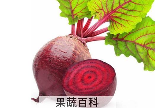 红芥菜的功效与作用 吃红芥菜的好处有哪些
