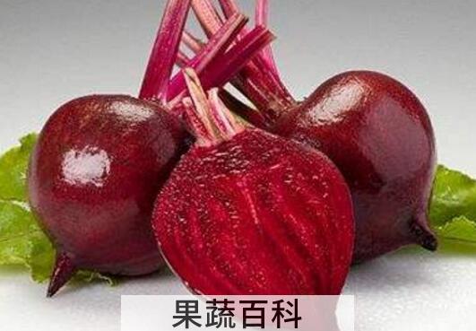 红芥菜怎么做好吃 红芥菜的食用方法
