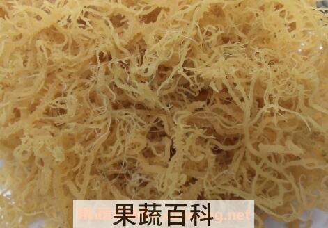 龙须藻的营养成分和营养价值