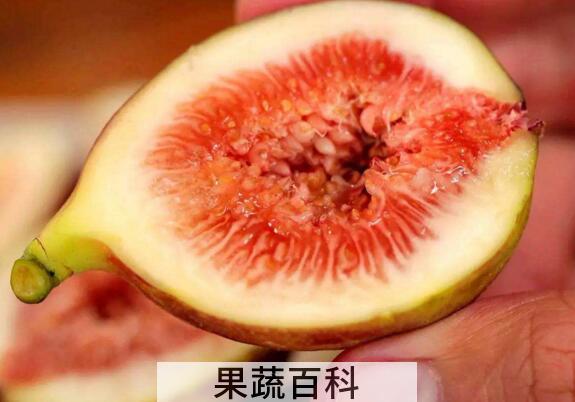 无花果汁的功效与作用及禁忌