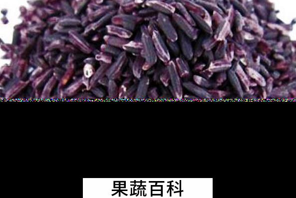 果蔬百科紫米的功效与作用
