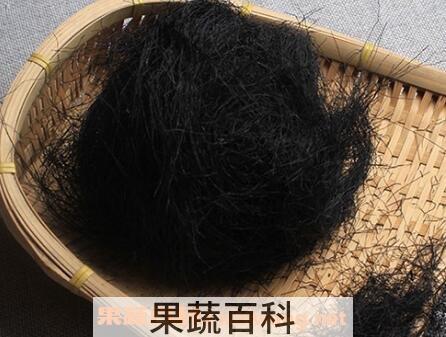 海发菜与干发菜的区别