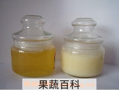 真假蜂蜜