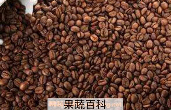 咖啡豆怎么吃 咖啡豆的正确吃法