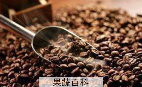 咖啡豆怎么吃 咖啡豆的正确吃法