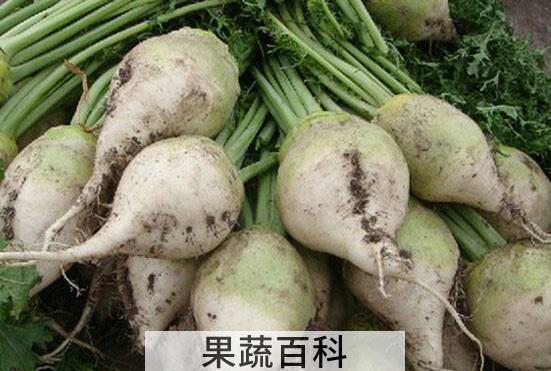 整个芥菜疙瘩怎么腌制