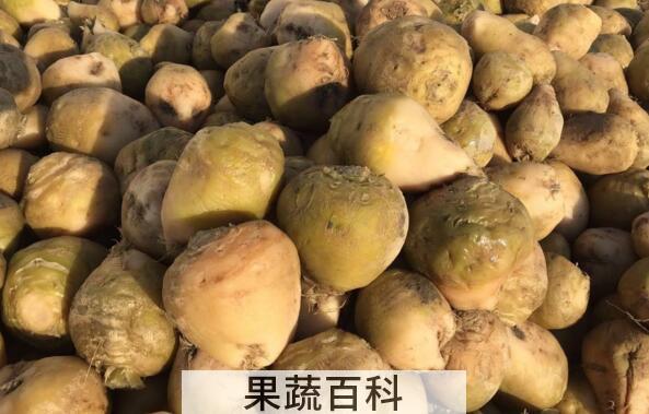 整个芥菜疙瘩怎么腌制