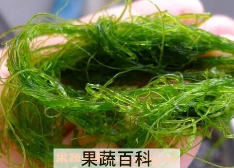 海发菜的功效与作用及营养价值