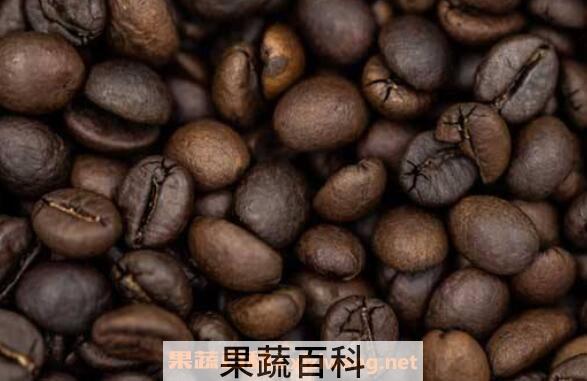 咖啡豆的种类 咖啡豆的选购方法教程