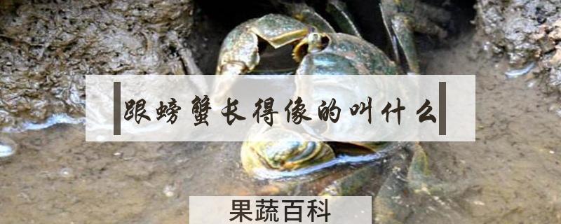 跟螃蟹长得像的叫什么