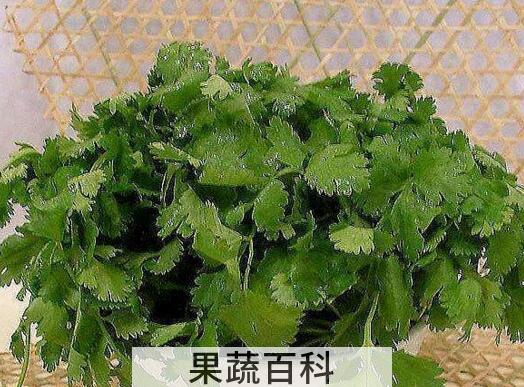 香荽的功效与作用 香荽的食用方法