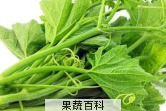 南瓜藤的功效与作用