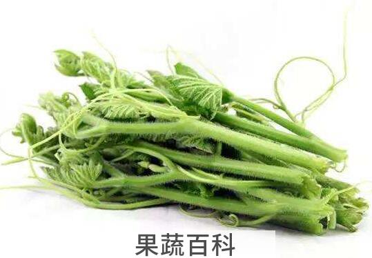 南瓜藤的功效与作用