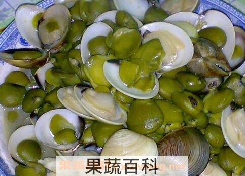 榄钱的功效和药用价值