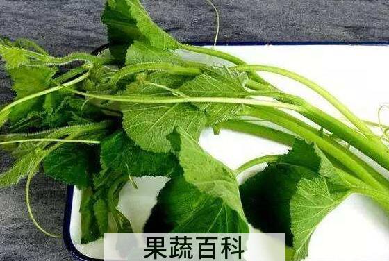 南瓜藤泡水喝有什么功效