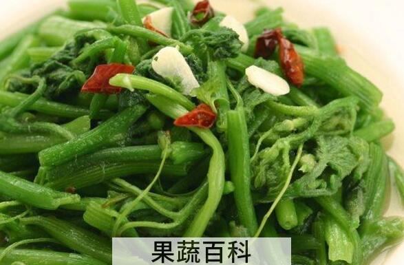 南瓜藤泡水喝有什么功效