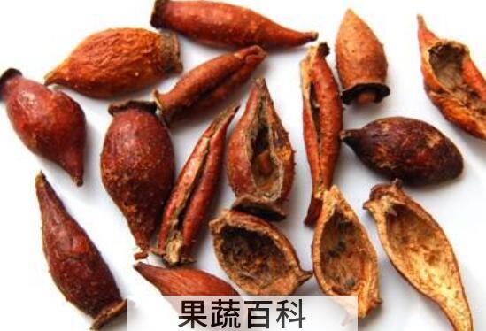 刺橄榄的功效与作用 刺橄榄的药用价值