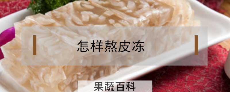 怎样熬皮冻