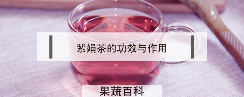 紫娟茶的功效与作用