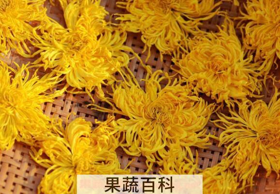 金丝皇菊的功效与作用