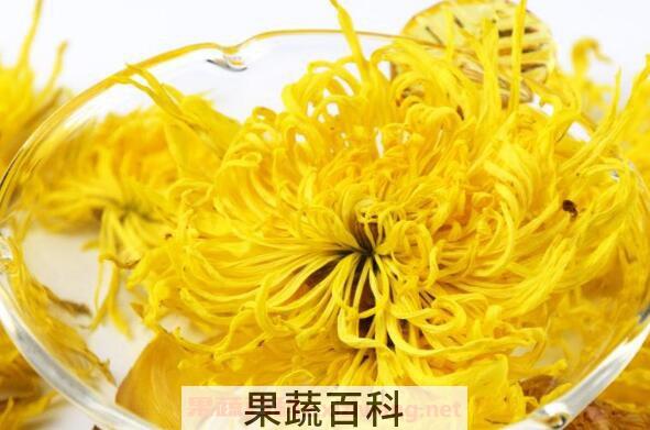 金丝皇菊的功效与作用
