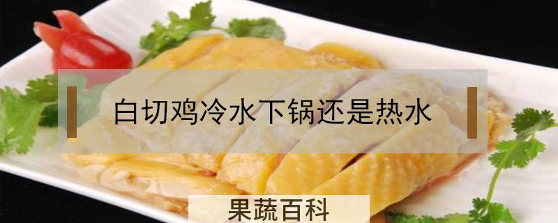 白切鸡冷水下锅还是热水