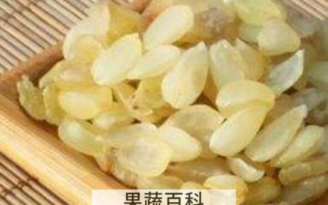 雪莲子酵素的功效与作用