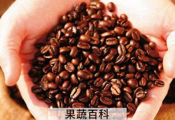 咖啡豆磨成粉后怎么喝 咖啡豆能直接泡吗