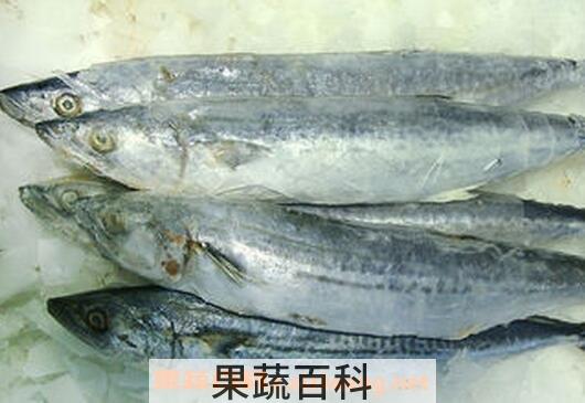 马胶鱼的功效与禁忌