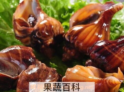 角螺的功效与作用 角螺的营养价值