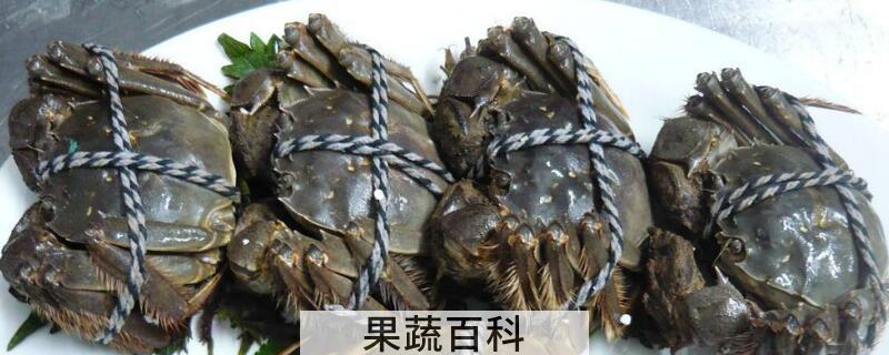 活螃蟹怎么保存