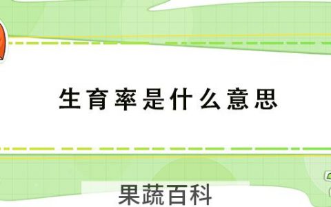 生育率是什么意思