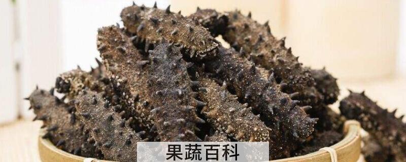干海参怎么保存