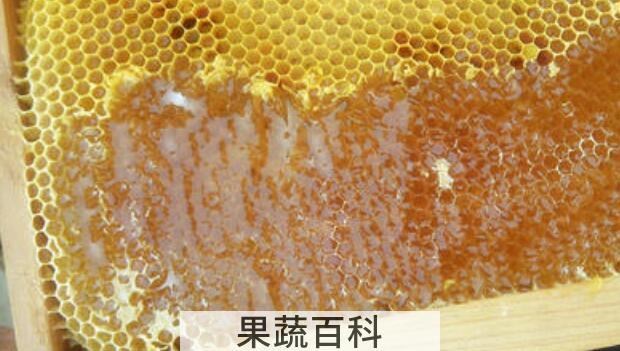 喝蜂蜜水会胖吗