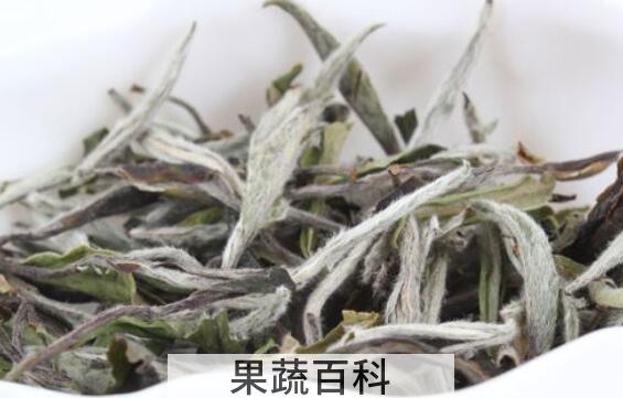 月光白茶的功效与作用 月光白茶是什么茶