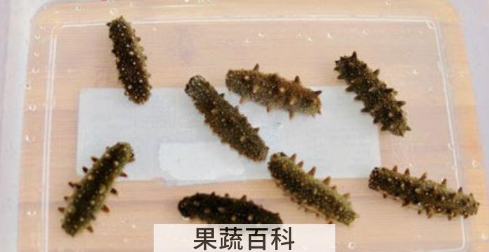 海参怎么泡发，干海参怎么泡发最好