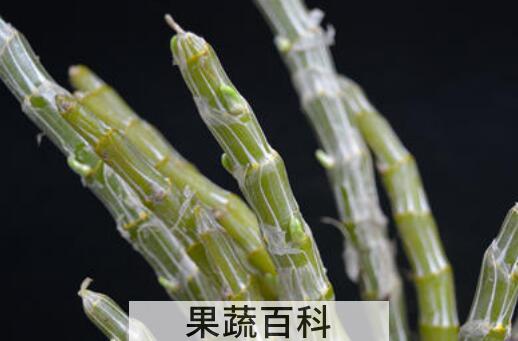 玫瑰石斛的功效与作用及药用价值
