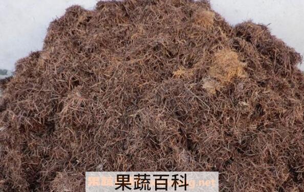 什么是松针土 松针土适合种什么花