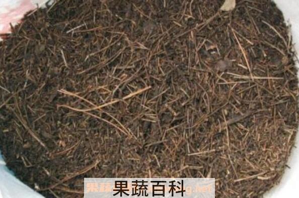 什么是松针土 松针土适合种什么花