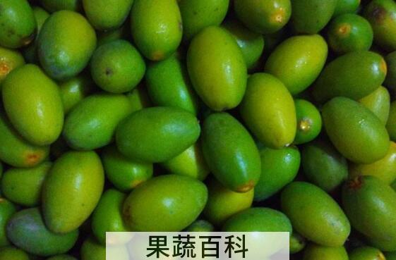 甜橄榄果的功效与作用