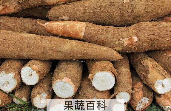 木薯的功效与作用 木薯的食用方法
