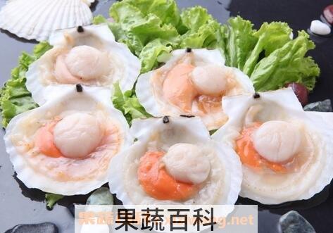  扇贝不能和什么一起