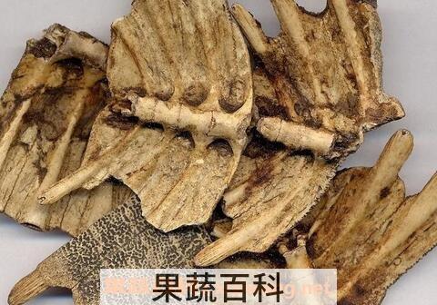 鳖甲壳的功效与作用