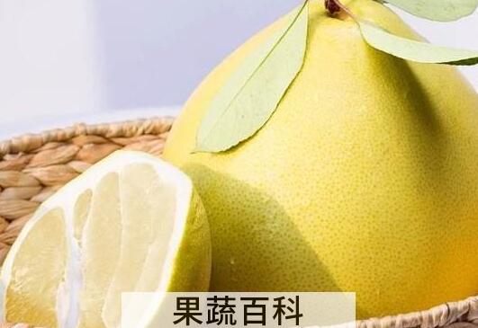 水果柚子的功效与作用