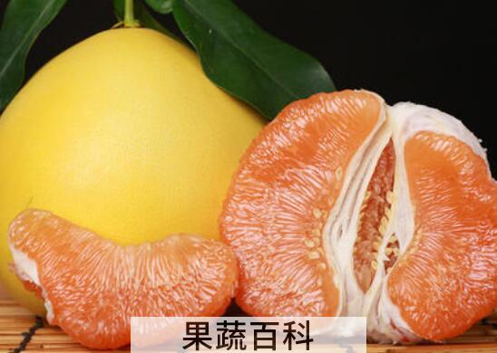 水果柚子的功效与作用