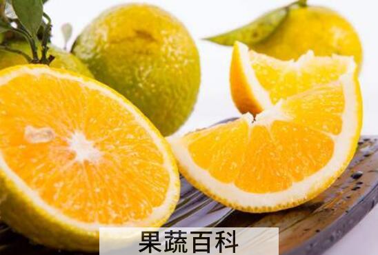 桔柚的营养价值和功效