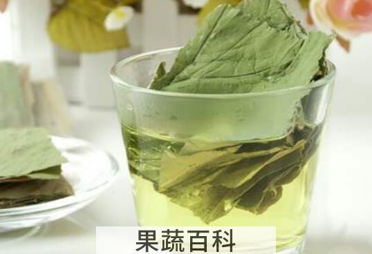 荷叶减肥茶的功效与作用及禁忌