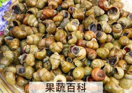 炒田螺壳的功效与作用