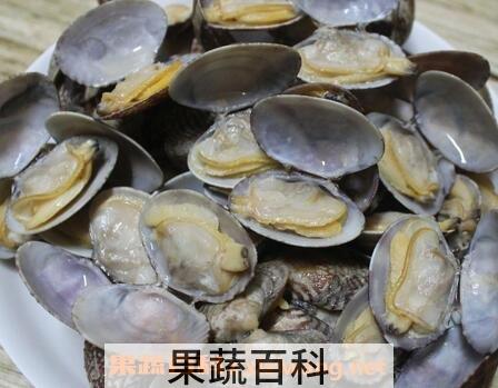贝壳的营养价值及功效
